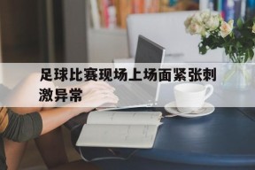 金年会入口-足球比赛正在紧张地进行,在场的观众